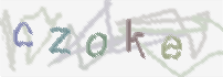 CAPTCHA image for SPAM prevention 