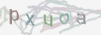 CAPTCHA image for SPAM prevention 