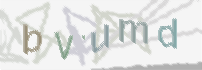 CAPTCHA image for SPAM prevention 