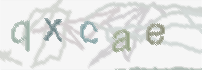 CAPTCHA-Bild zum Spam-Schutz 