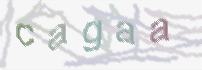 CAPTCHA-Bild zum Spam-Schutz 